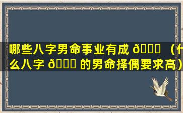 哪些八字男命事业有成 🕊 （什么八字 🐟 的男命择偶要求高）